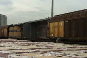 635 - Freight wagons at Derince - Onur