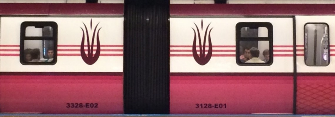 710 - Kadıköy Tavşantepe metrosu - Onur