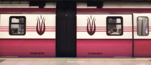 710 - Kadıköy Tavşantepe metrosu - Onur