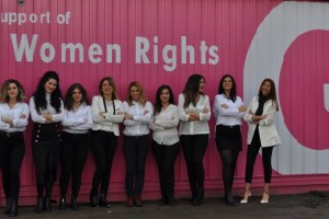 Greenlog pembe konteyner